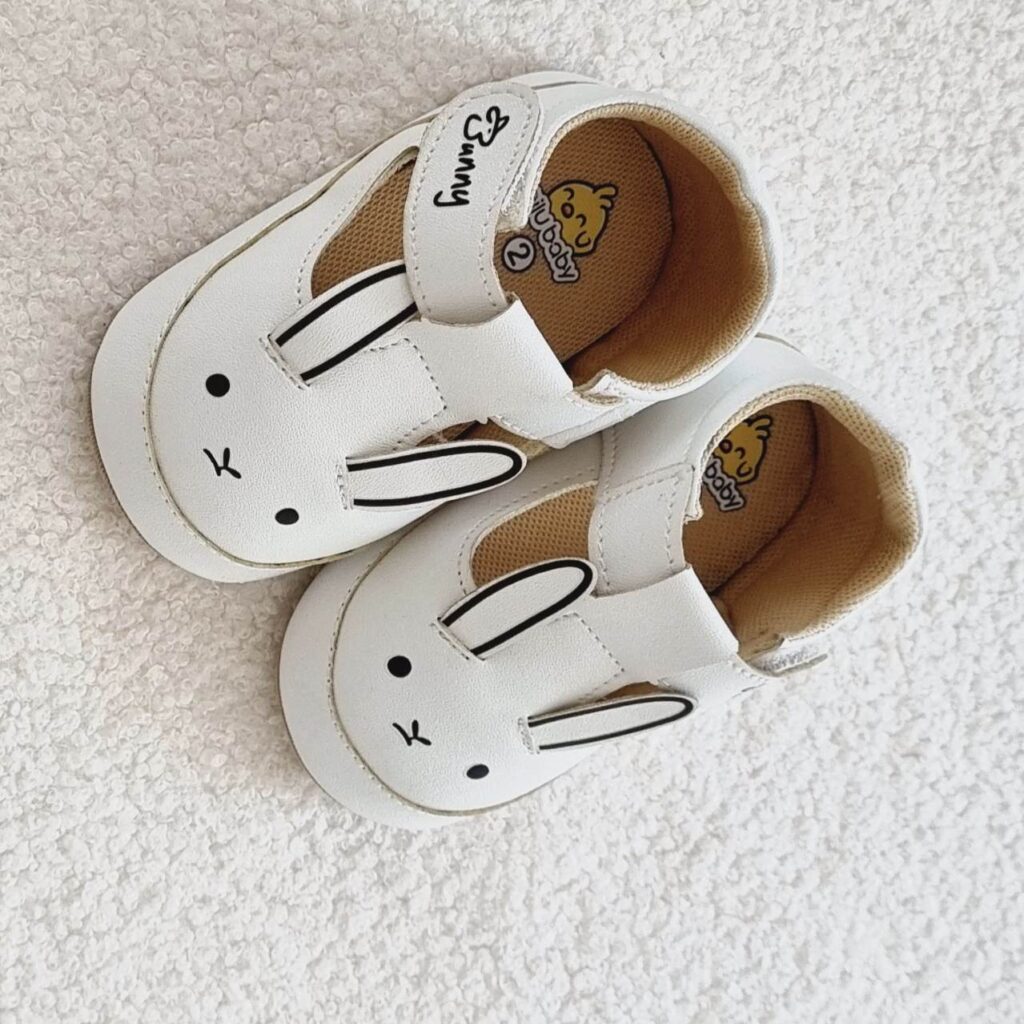 سیسمونی تربچه