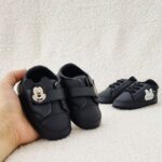 سیسمونی تربچه